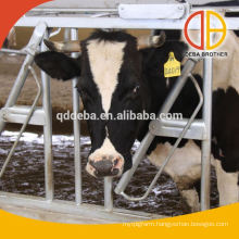 Cow Headlocks cow farm equipment